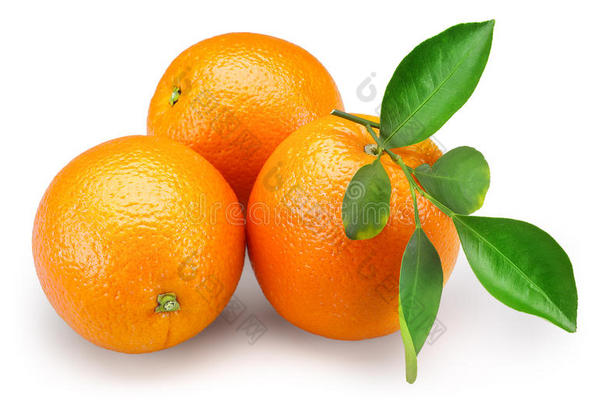 橙色水果，白色背景下分离的叶子+剪接