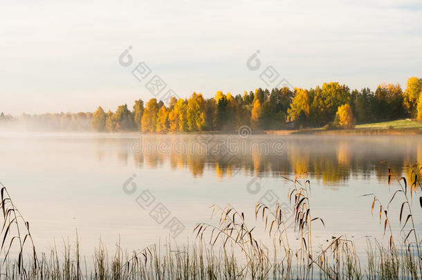 秋色静谧水景