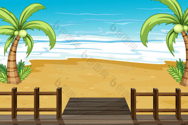 海边椰树的景色