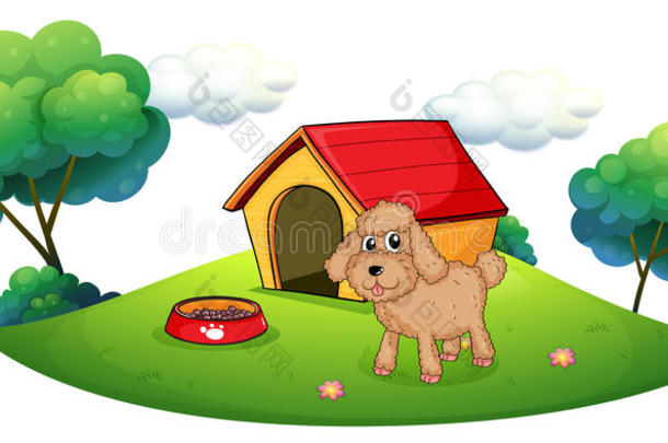 一只棕色的小狗在狗屋外玩耍
