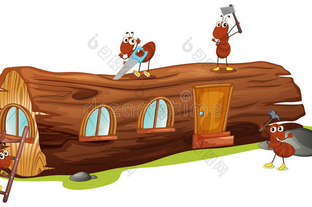 蚂蚁和木屋