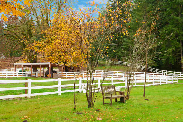 有白色篱笆和秋天五颜六色的叶子的马场。