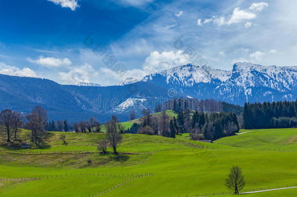 春天的德国田园牧歌乡村，背靠阿尔卑斯山