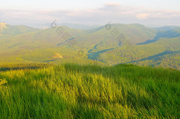 山间青草