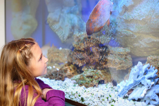 小女孩看着在水族馆里游泳的大鱼