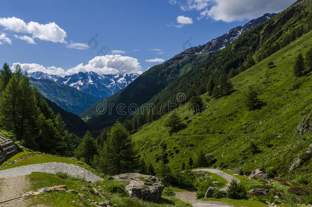 高山草甸景观高山上，夏日晴朗，阳光明媚。