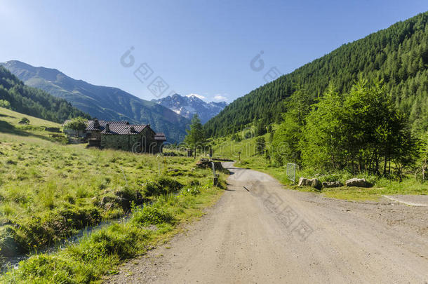 公路上高寒草甸景观的高山上，夏日晴朗，阳光明媚。