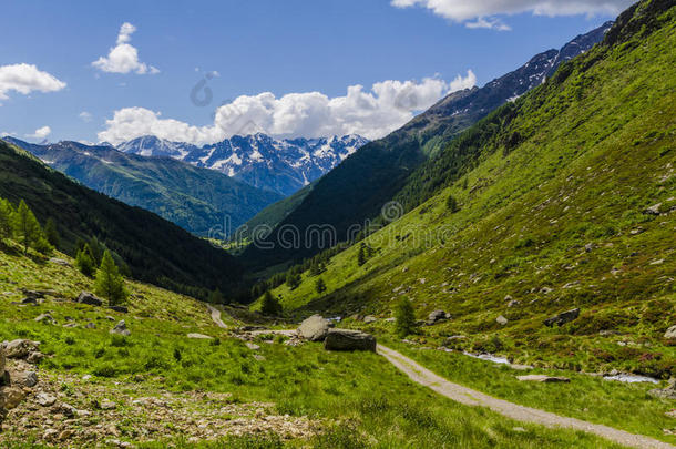 高山草甸景观高山上，夏日晴朗，阳光明媚。