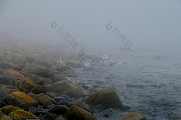 岩石海滩上的雾霾