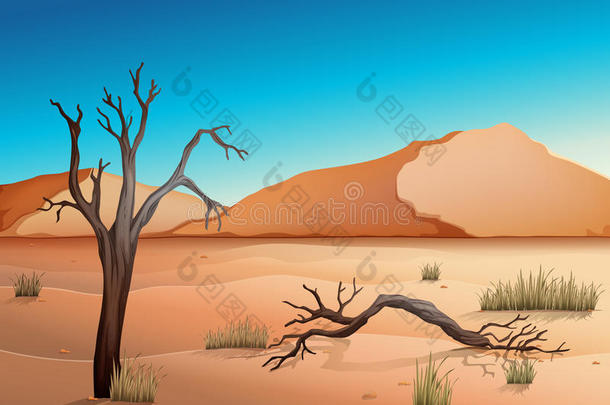 生态沙漠