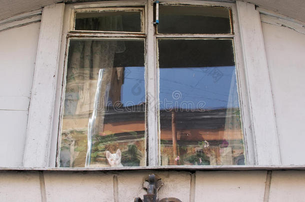 旧房子里的一扇窗户，窗户上有异色小猫
