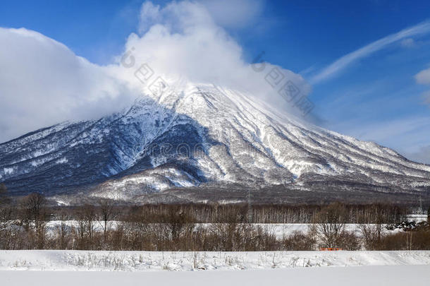 约泰山