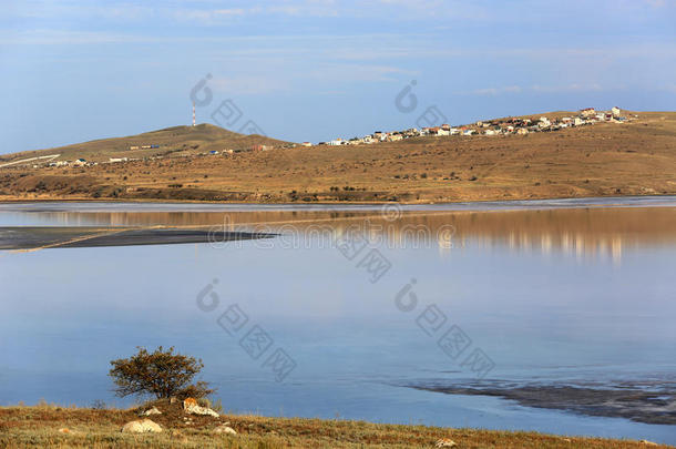 湖景独树