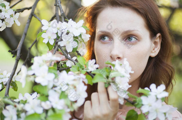 美丽的白花女子远眺