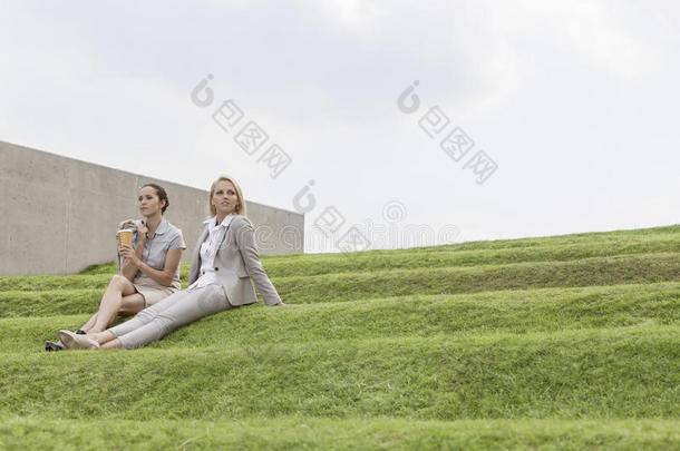 一长串女企业高管坐在青草地上顶天立地