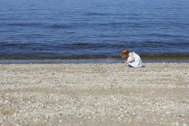 在海滩上捡贝壳的女孩