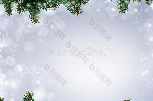 白色背景上的圣诞树分支边框（带示例文本）