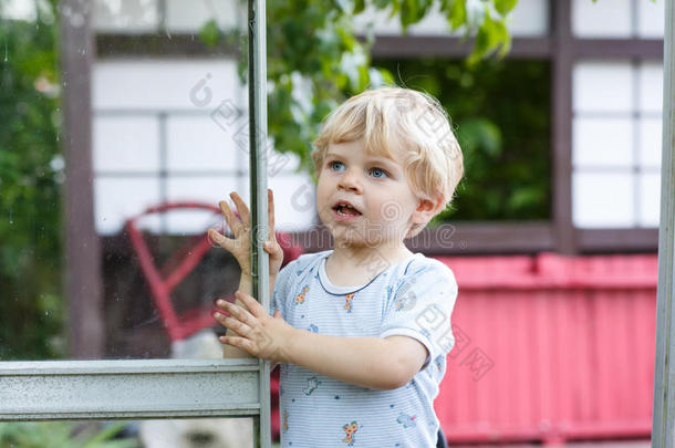 在夏日花园里玩耍的小男孩。