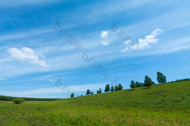 夏季美丽的草原景观