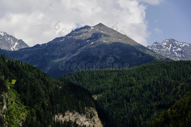 阿尔卑斯山脉的奥地利景观，山峰前有绿色森林