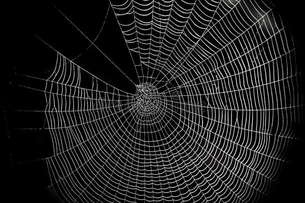 万圣节恐怖蜘蛛网的蜘蛛网图案