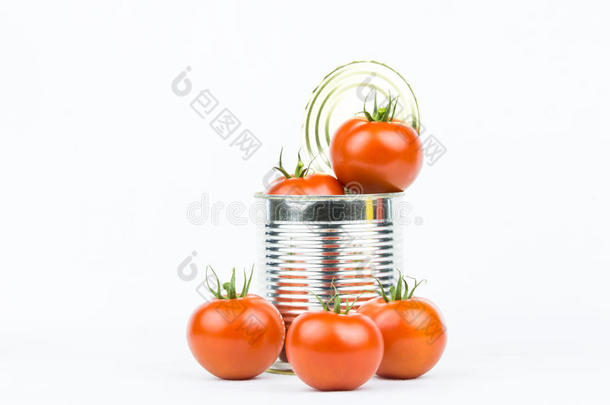 番茄罐头2