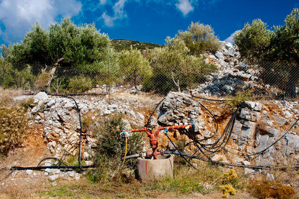 橄榄树灌溉系统