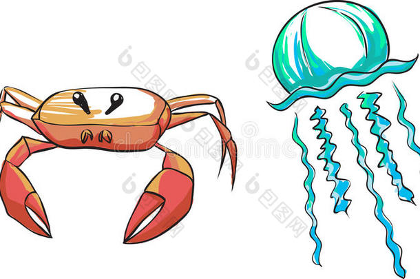 海洋生物-螃蟹和水母