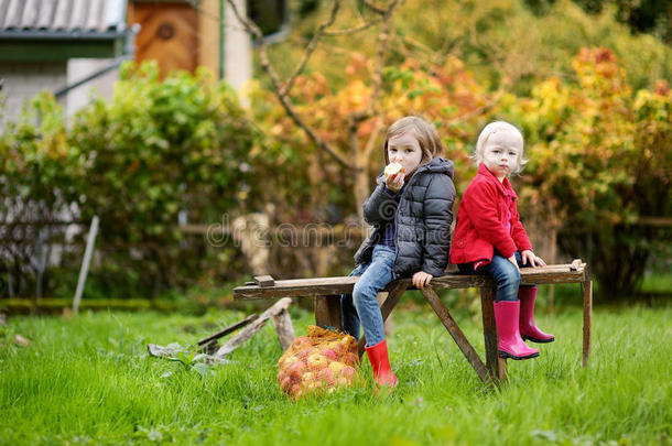 秋天，两姐妹坐在木凳上