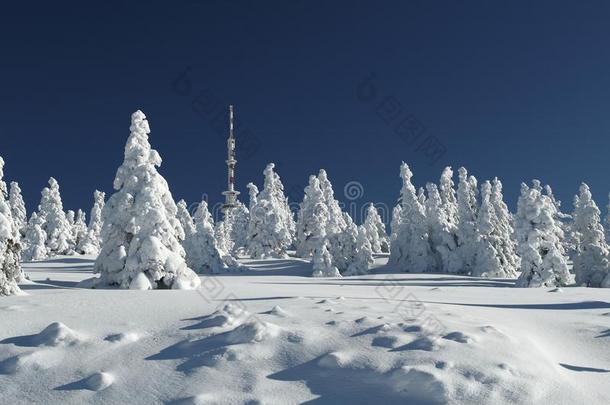 雪原