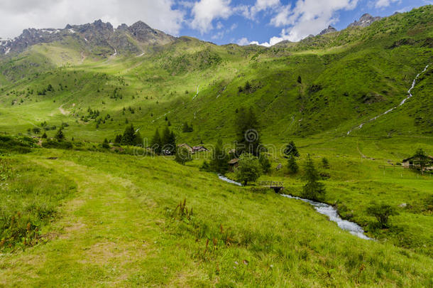 高山草甸景观高山上，夏日晴朗，阳光明媚。