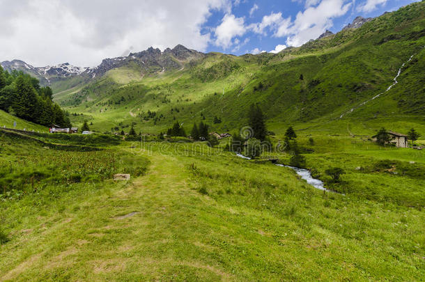 高山草甸景观高山上，夏日晴朗，阳光明媚。