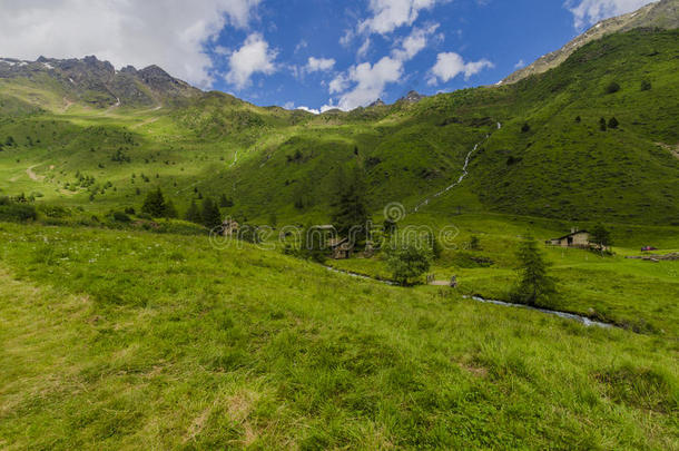 高山草甸景观高山上，夏日晴朗，阳光明媚。