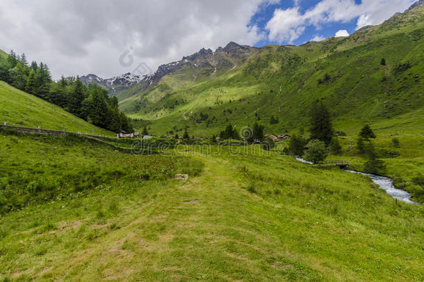 高山草甸景观高山上，夏日晴朗，阳光明媚。