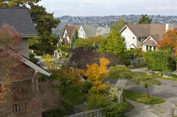 华盛顿州西雅图一个居民区的秋天的颜色。