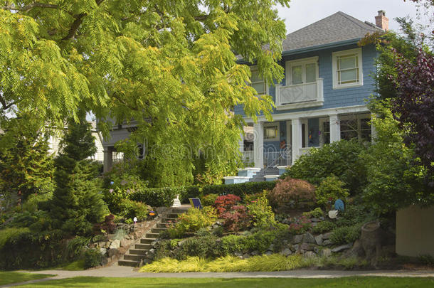 <strong>华盛顿</strong>州西雅图的大型树木和房屋住宅区。