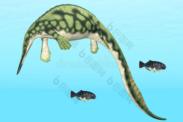 海生爬行动物hupehsuchus