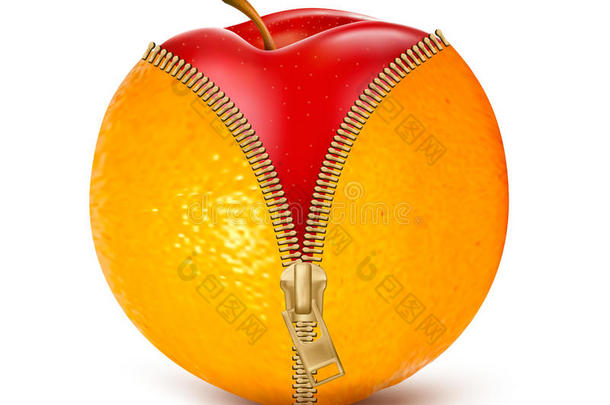 解开橘子和<strong>红<strong>苹果</strong>的拉链。<strong>水果</strong>和饮食