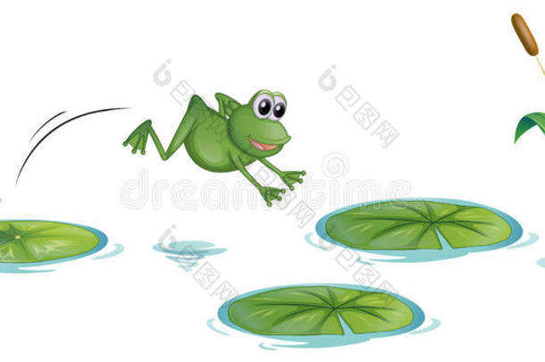 池塘边一只荷花青蛙