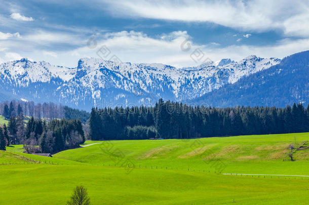春天的德国田园牧歌乡村，背靠阿尔卑斯山