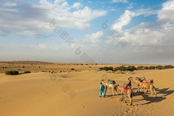 两个骆驼司机（骆驼司机）和骆驼在沙丘塔尔德塞
