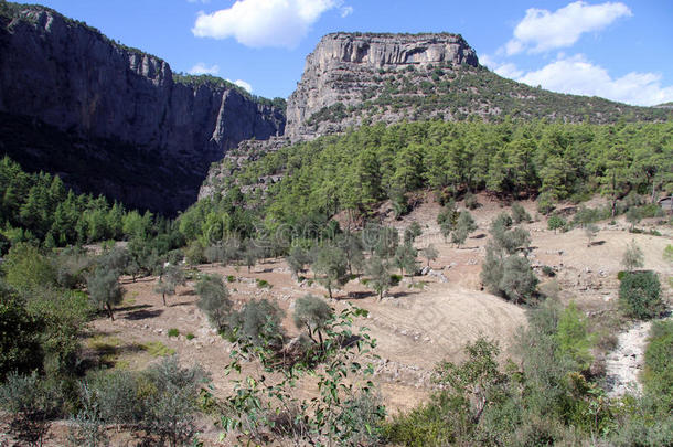 科普鲁鲁峡谷