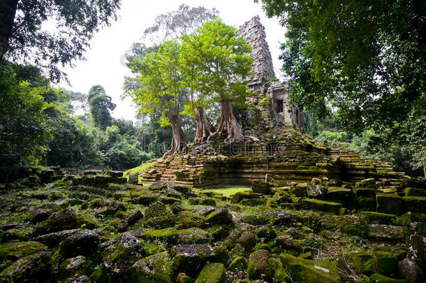 柬埔寨的<strong>神殿</strong>