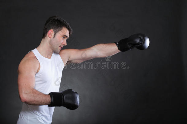 摄影棚深色背景中的运动员拳击手肖像