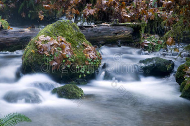 长时间暴露的水流下溪流苔藓覆盖的岩石