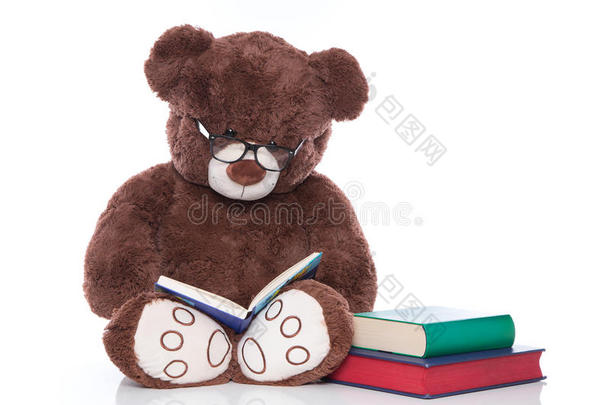 戴眼镜的泰迪熊为圣诞节<strong>读故事</strong>-与世隔绝