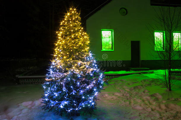 圣诞树灯火通明之夜