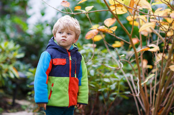 秋天公园小男孩的画像，黄色的树叶。