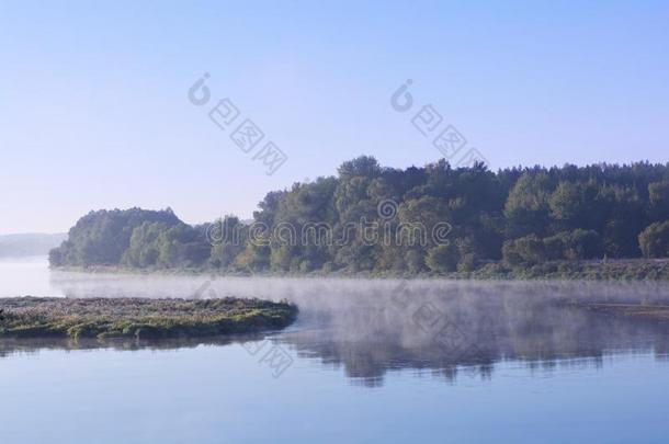 雾景，树影，水影日出早夏日宁静的早晨湖。早晨