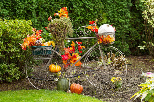 秋天秋天的篮子自行车装饰品
